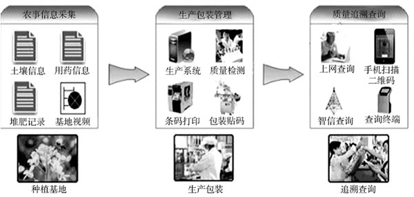 智慧农业生产流程