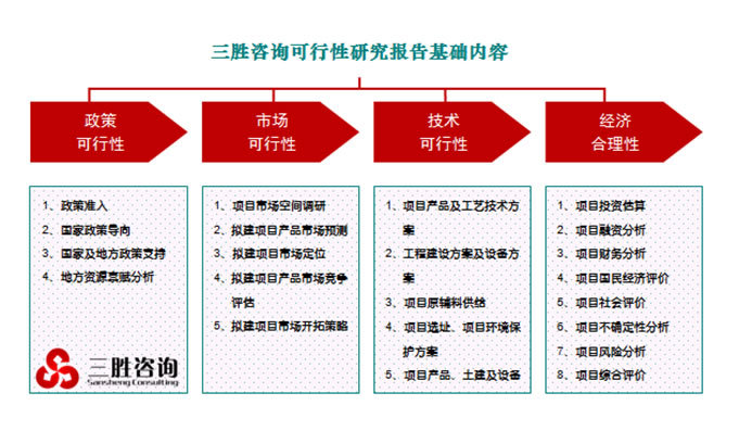 可行性研究报告基础内容示意图